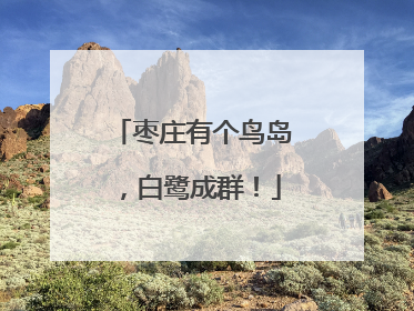 枣庄有个鸟岛，白鹭成群！